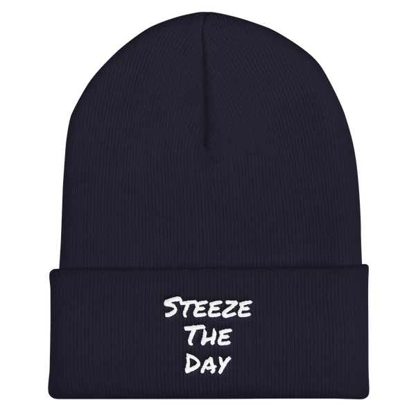 Steeze The Day - Cuffed Beanie