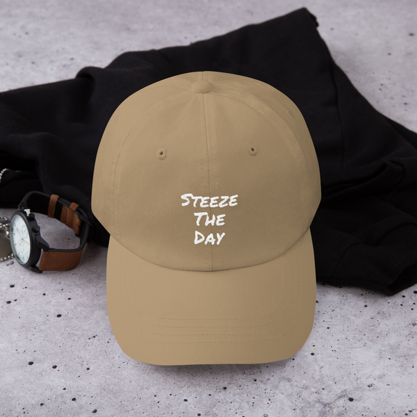 Steeze the Day - Dad hat