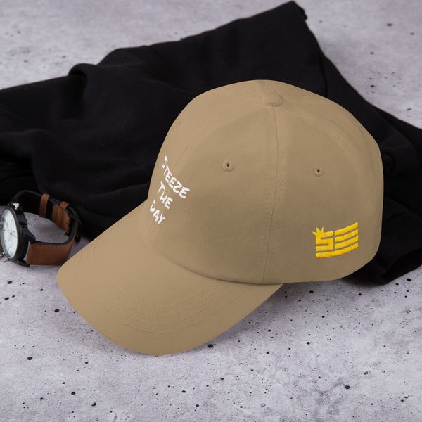 Steeze the Day - Dad hat