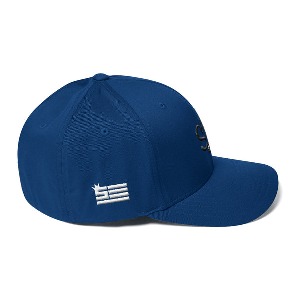 Steezy! 3D Embroidery Structured FlexFit Twill Cap