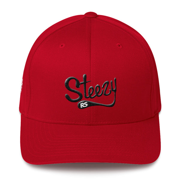 Steezy! 3D Embroidery Structured FlexFit Twill Cap