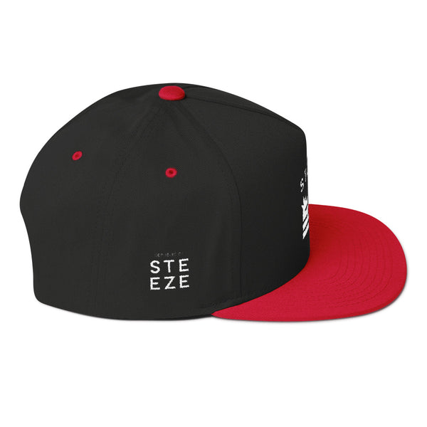 Steeze Flag - Flat Bill Cap