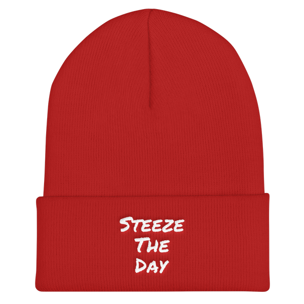 Steeze The Day - Cuffed Beanie